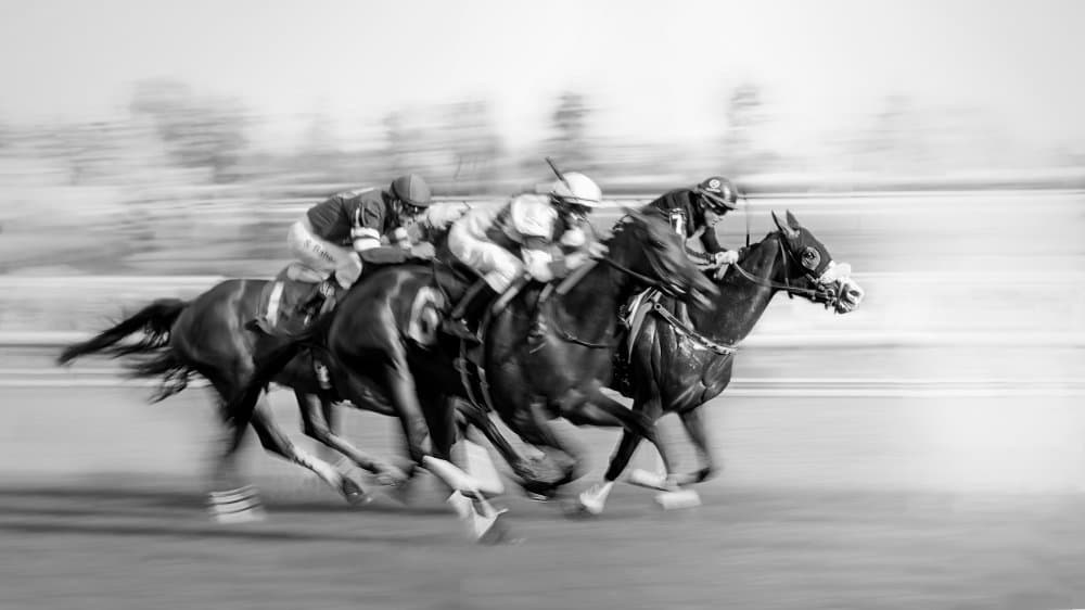 Galloping Racehorses by Leeian Dai — canvas wall art