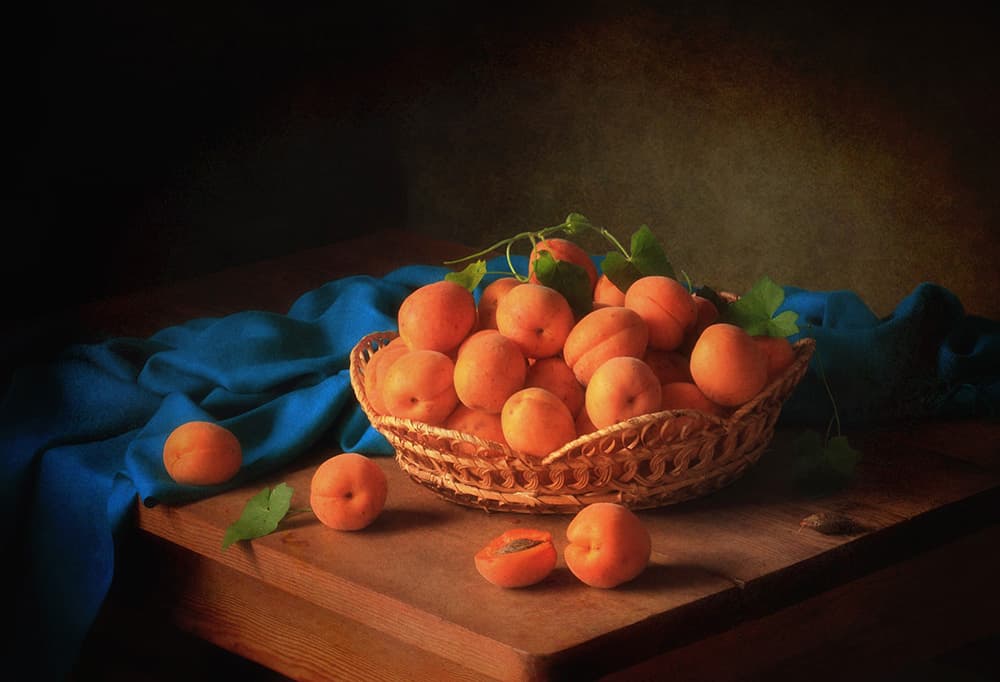 Golden Apricot Still Life by Tatyana Skorokhod — canvas wall art