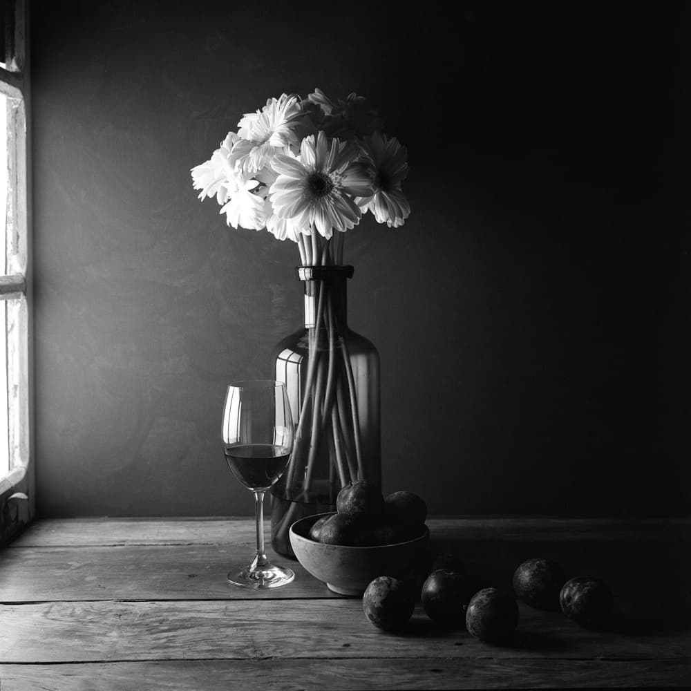Dark Still Life Flowers by Luiz Laercio — canvas wall art