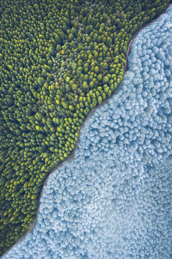 Winter Green Divide by TIANQI — canvas wall art