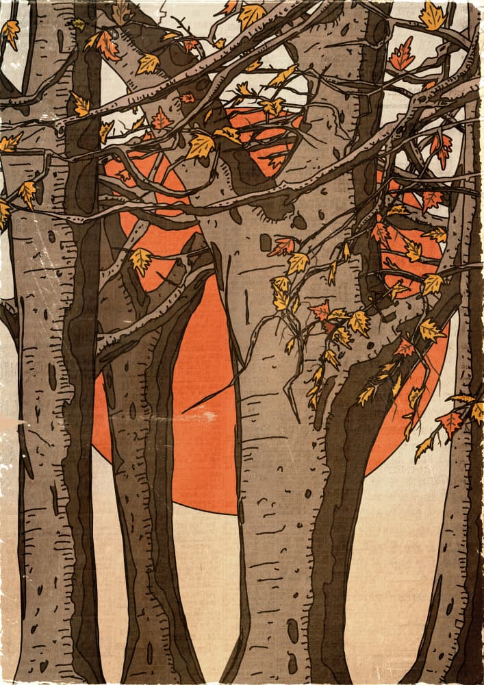 Autumn Forest Sunset by Nicholas — canvas wall art