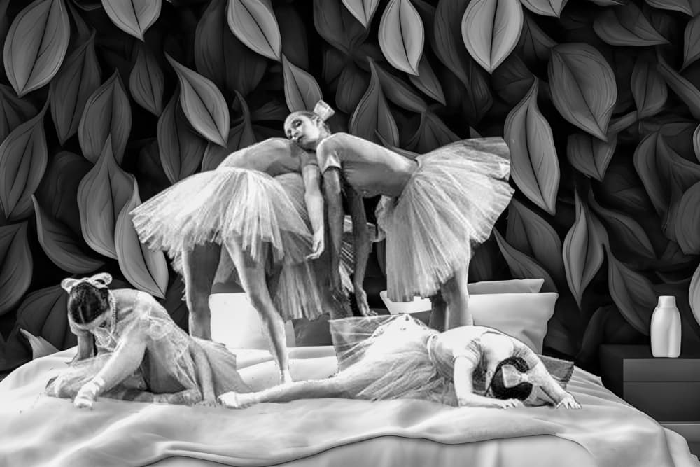 Tired Ballerinas Dream by Ciupureanu Dan — canvas wall art