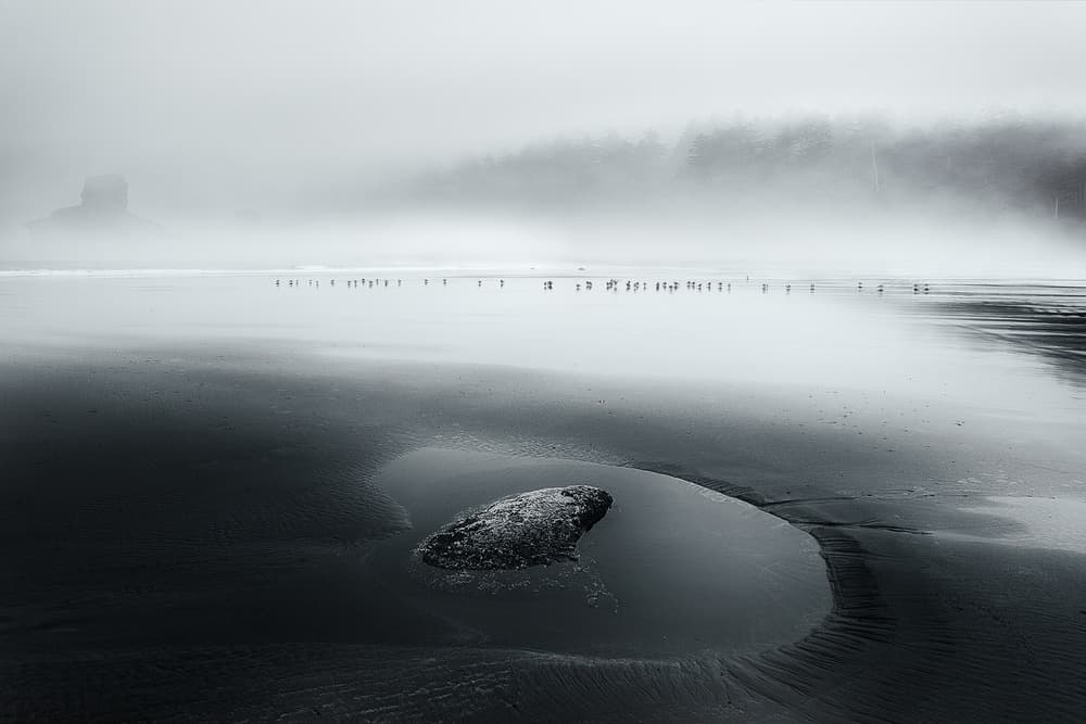 Misty Beach Serenity by Dani BS. — canvas wall art