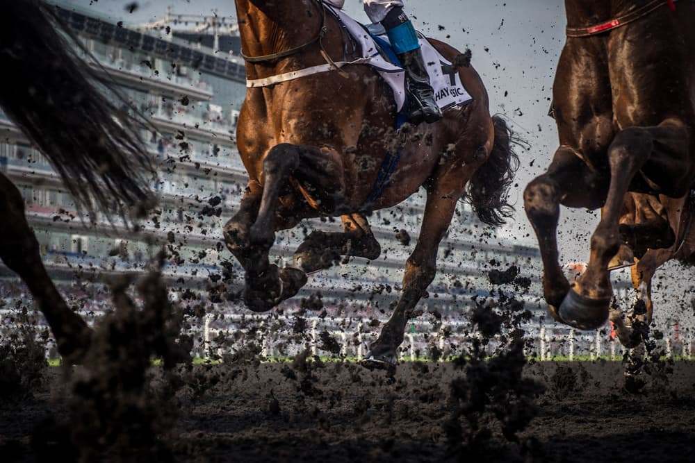 Muddy Race Action by Sharon Lee Chapman — canvas wall art