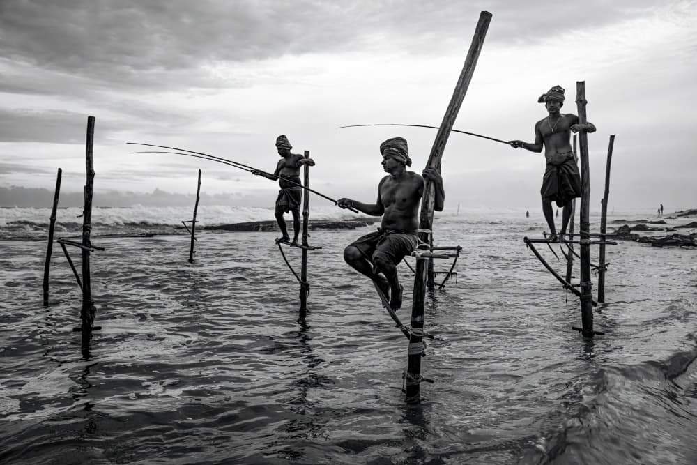 Traditional Stilt Fishing by Marco Tagliarino — canvas wall art