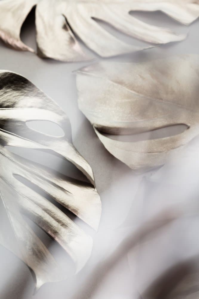 Silver Monstera Leaves by Pictufy Studio III — canvas wall art