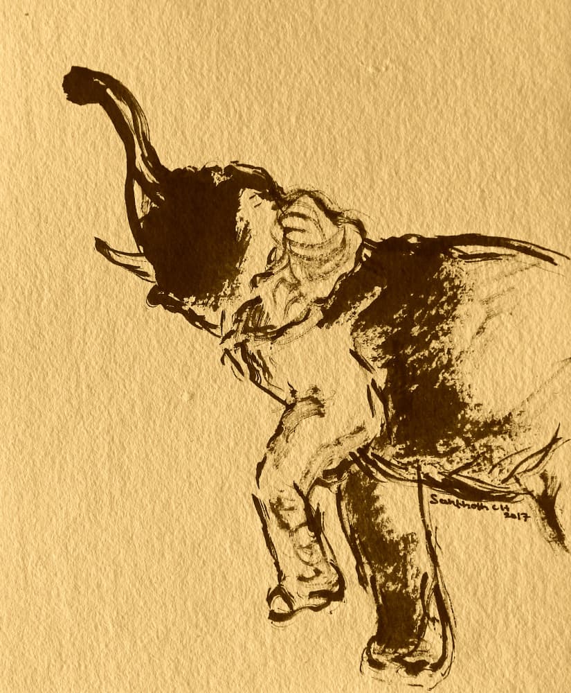 Playful Elephant Pose by Santhosh ch — canvas wall art