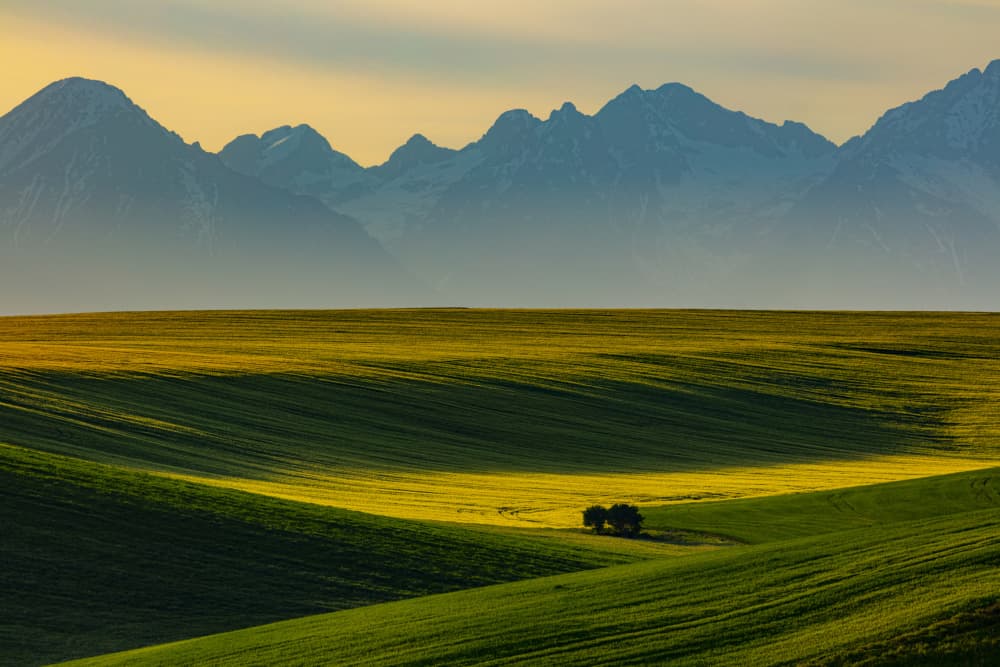 Golden Fields and Mountains by Peter Hrabinsky — canvas wall art