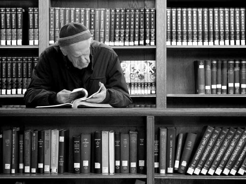 Quiet Library Scholar by Magdalena Roeseler — canvas wall art