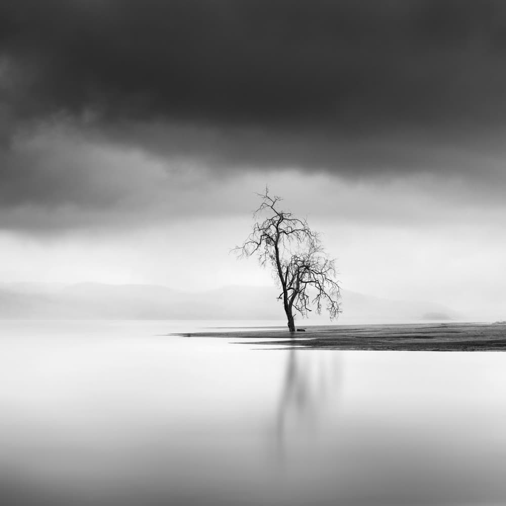 Lone Tree Moody Sky by George Digalakis — canvas wall art