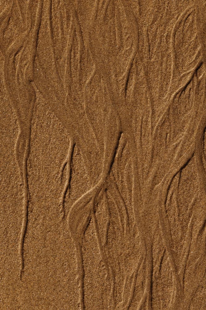 Flowing Sand Patterns by Javier Pardina — canvas wall art
