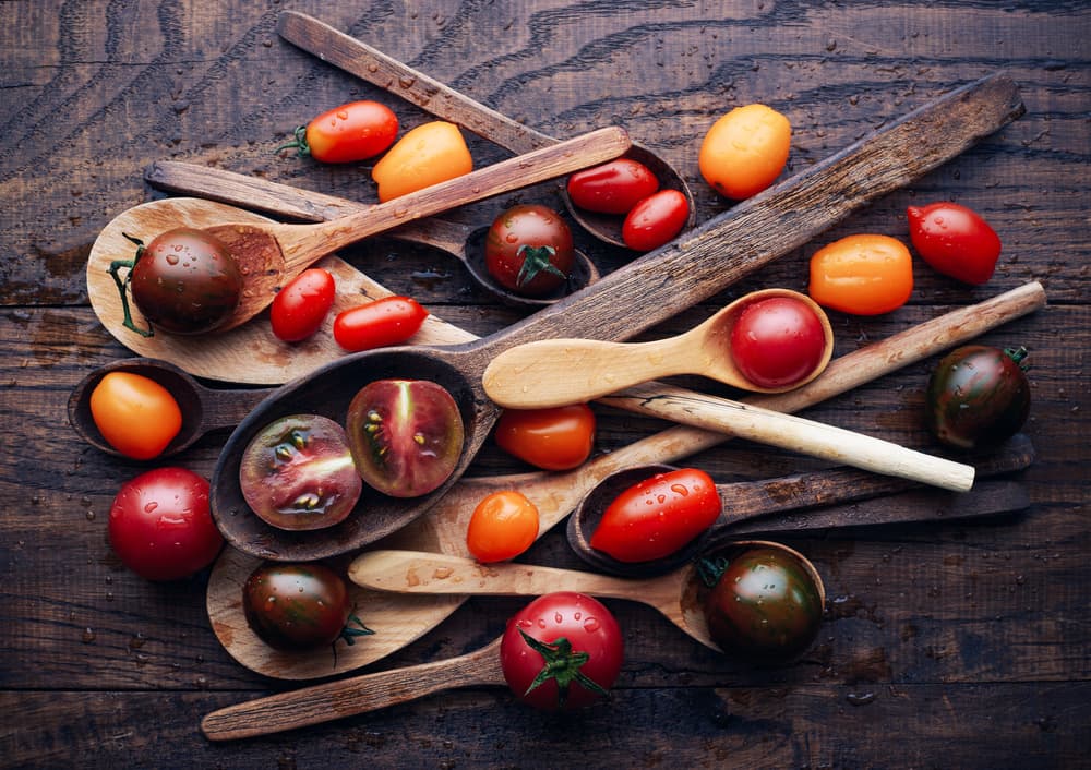 Heirloom Tomatoes and Spoons by Karina Aleksandrova — canvas wall art