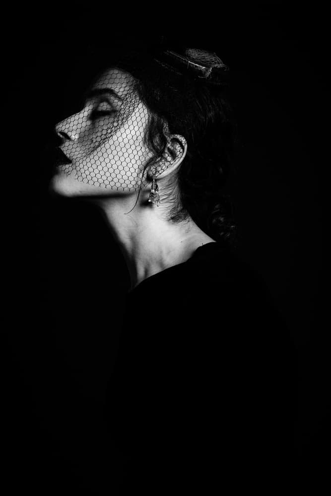 Veiled in Shadow by Artem Vasilenko — canvas wall art