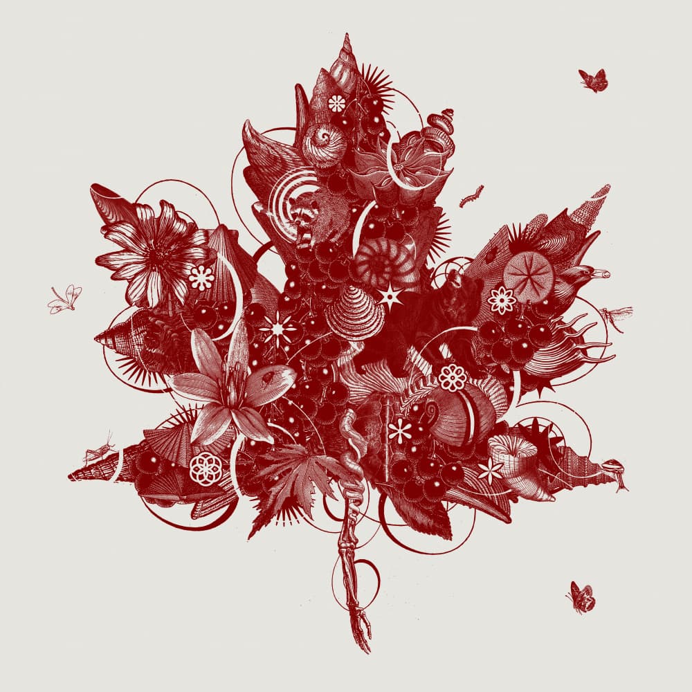 Intricate Red Maple Leaf by Jaco Putker — canvas wall art