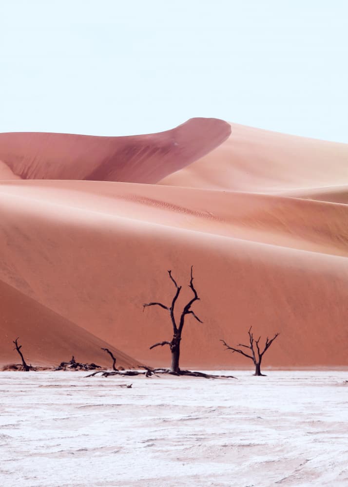 Red Dunes Dead Trees by Ariz Rab — canvas wall art