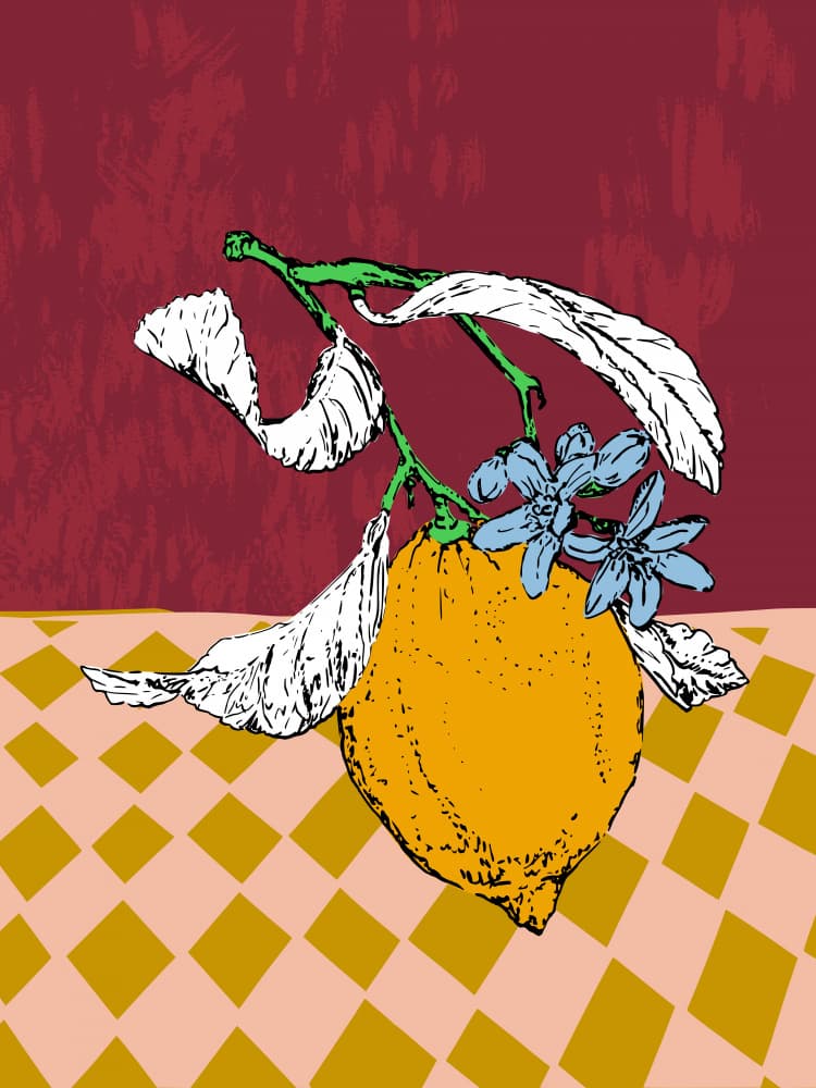 Lemon Bloom Still Life by Annick — canvas wall art