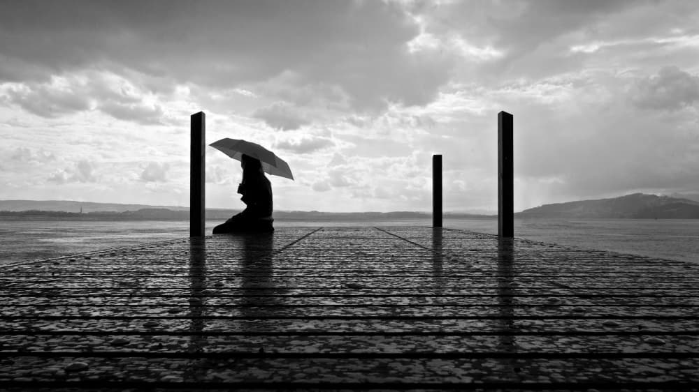 Rainy Day Solitude by Magdalena Roeseler — canvas wall art