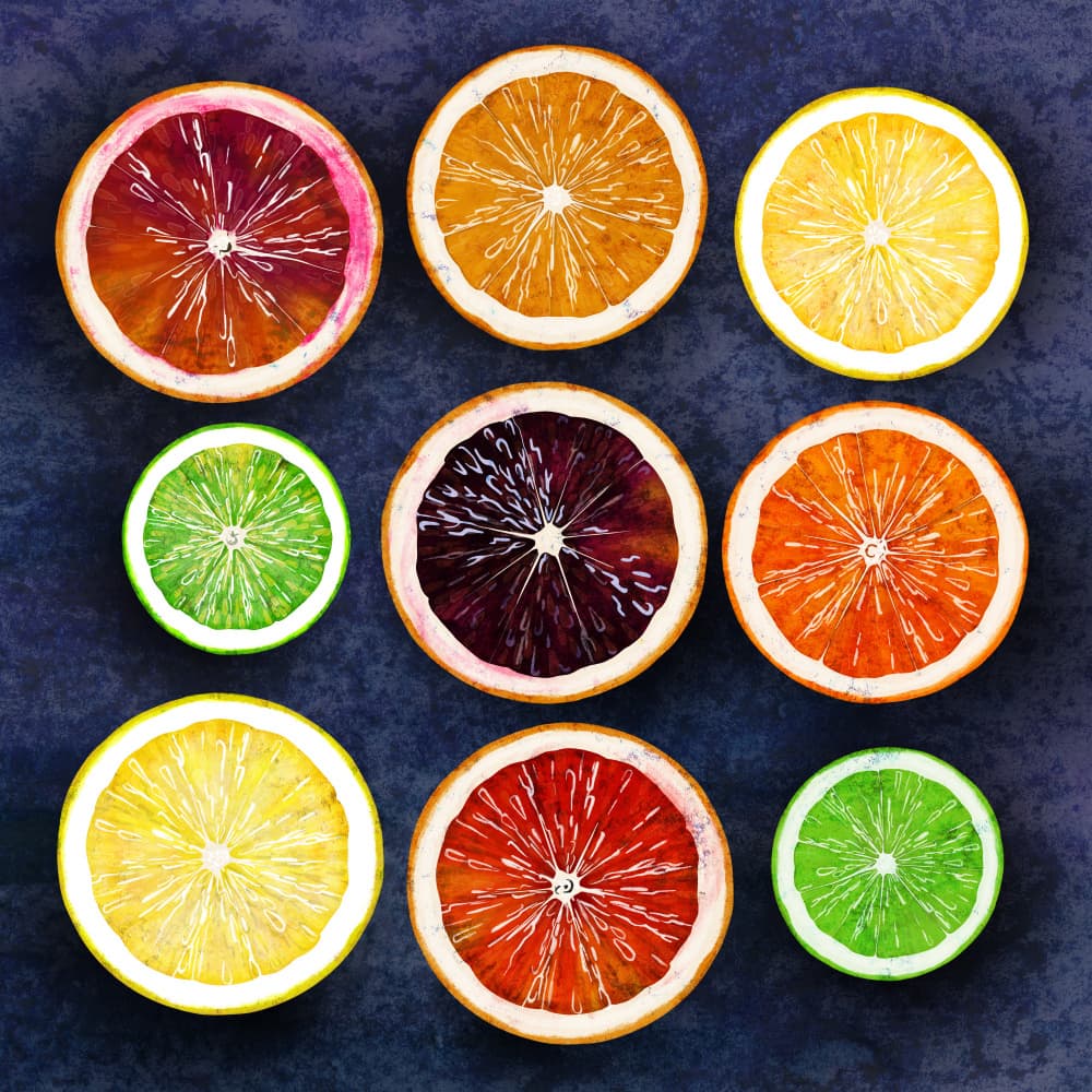 Vibrant Citrus Slices by EMELIEmaria — canvas wall art