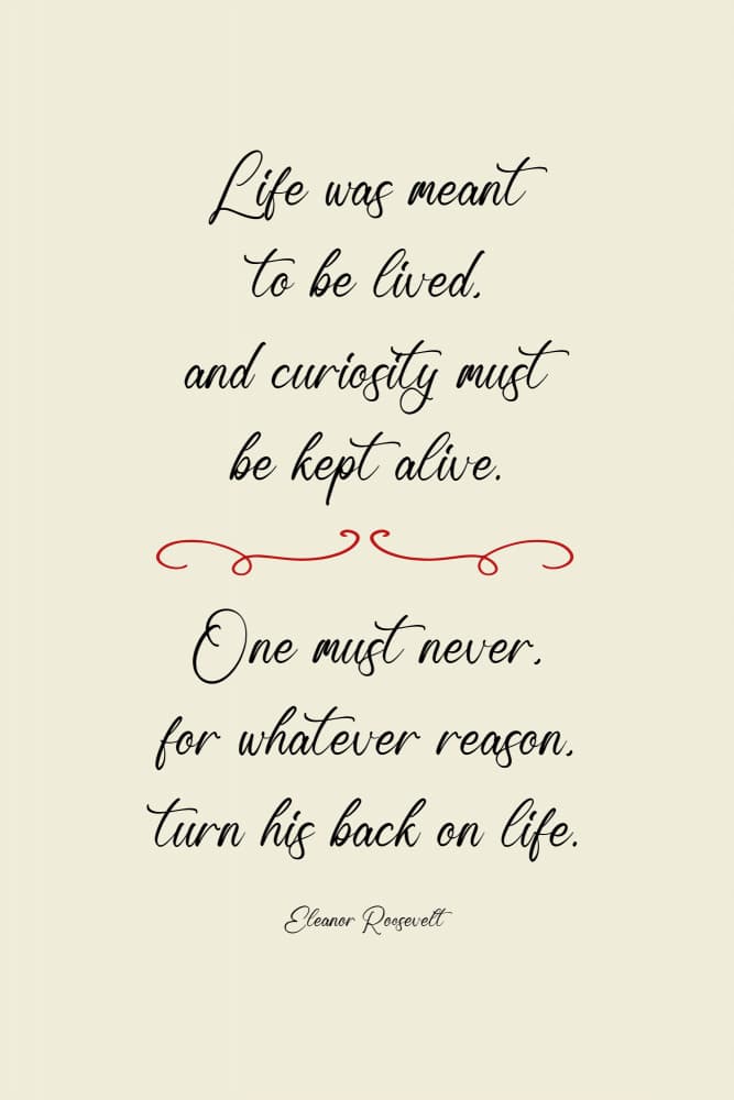 Life Curiosity Wisdom by Andreas Magnusson — canvas wall art