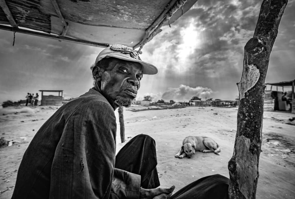 Elder Under Dramatic Sky by João Coelho — canvas wall art