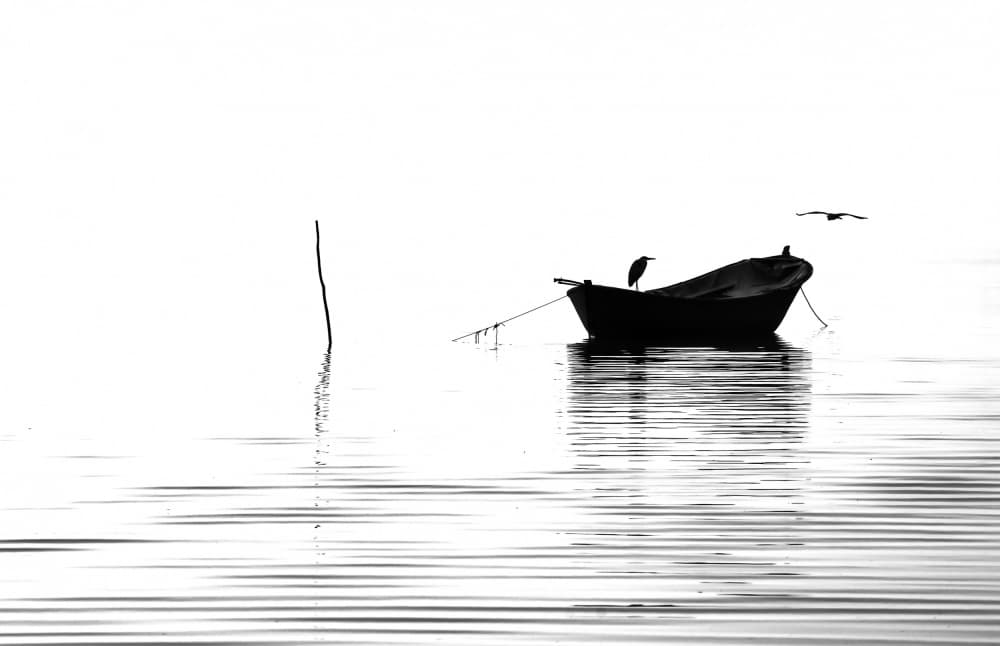 Solitary Boat and Bird by Ummu Nisan Kandilcioglu — canvas wall art