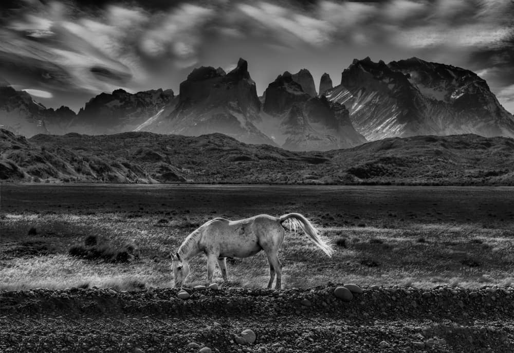 Wild Horse Mountains by Jenny Qiu — canvas wall art