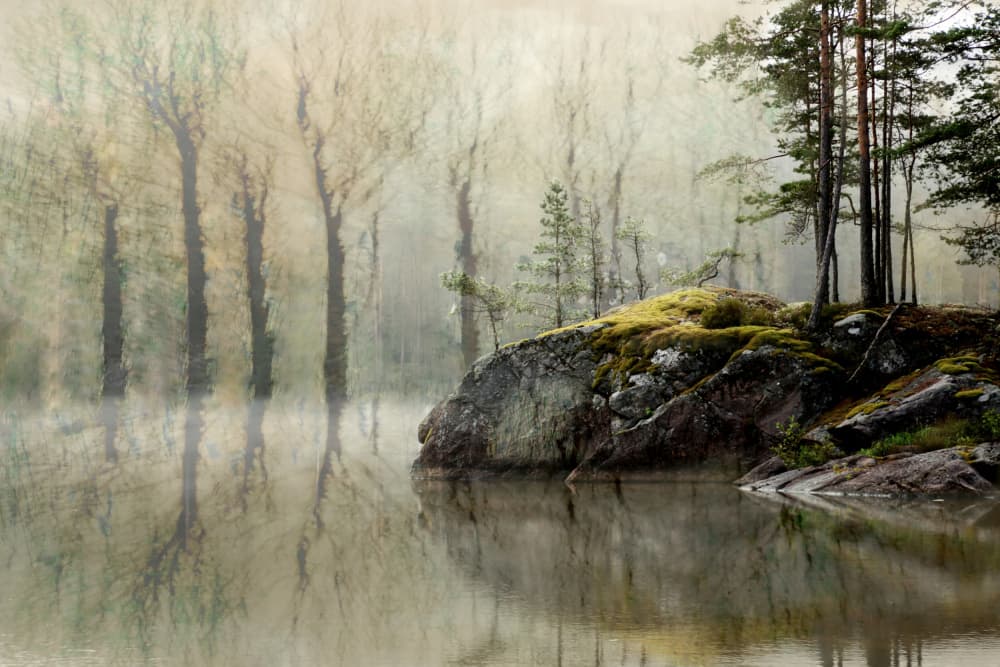 Misty Forest Lake by Christina Sillen — canvas wall art