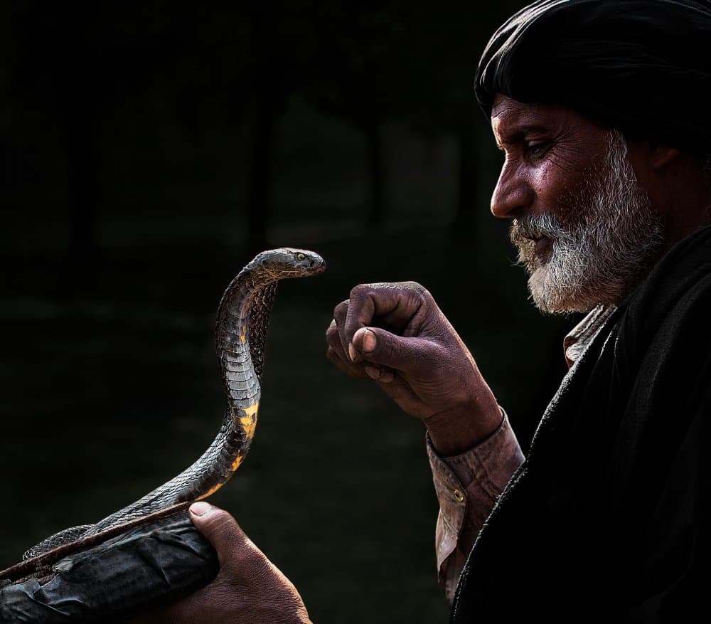 Snake Charmer's Gaze by Sayyed Nayyer Reza — canvas wall art