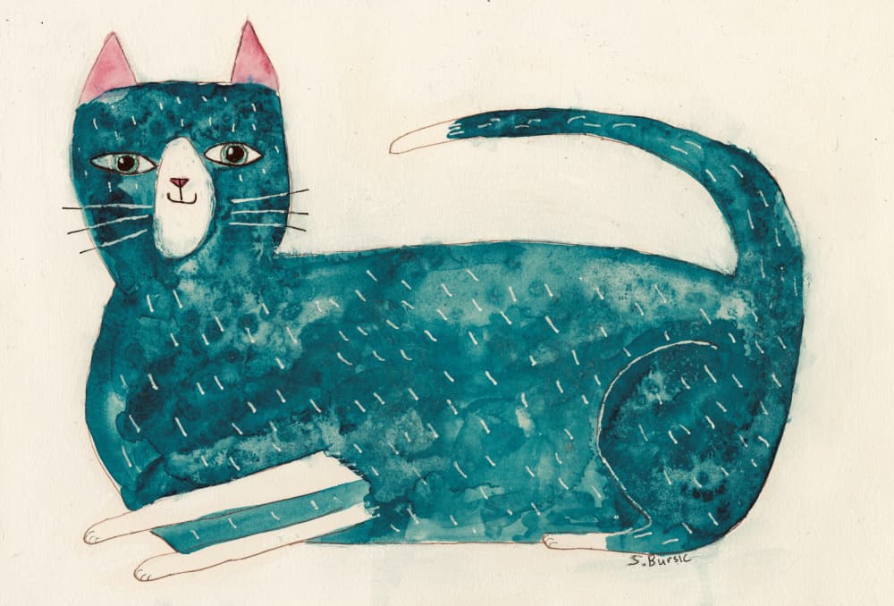 Whimsical Teal Cat