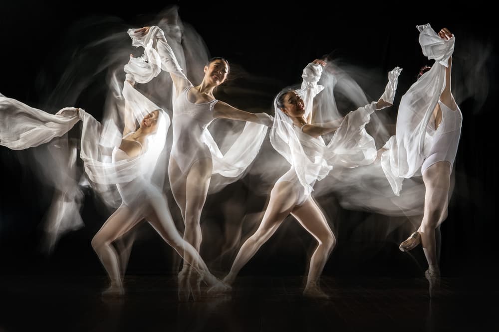 Ethereal Ballet Movement by Martha Suherman — canvas wall art
