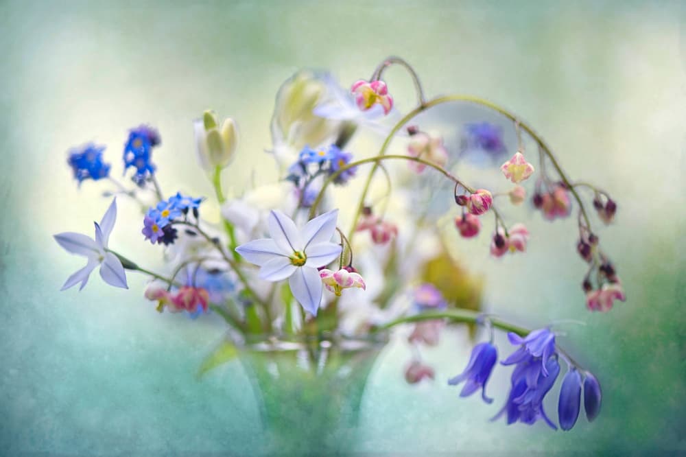 Soft Spring Bouquet by Jacky Parker — canvas wall art