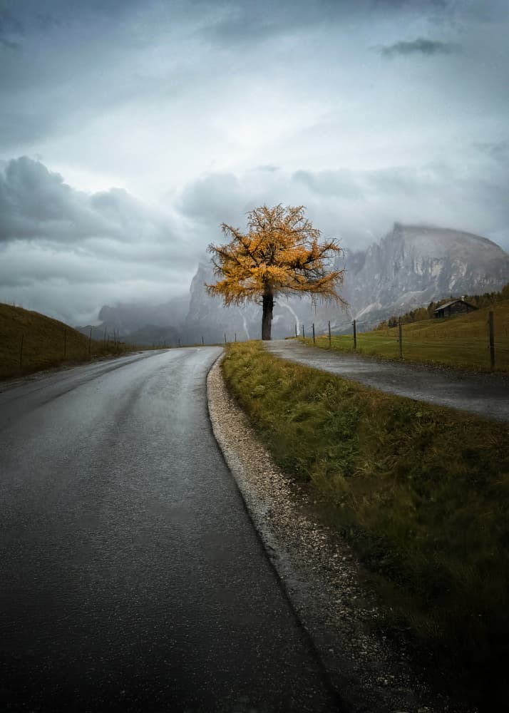 Winding Autumn Road by Chuan Chen APA — canvas wall art