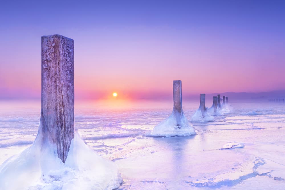 Icy Posts Winter Dawn by Ulrike Eisenmann — canvas wall art
