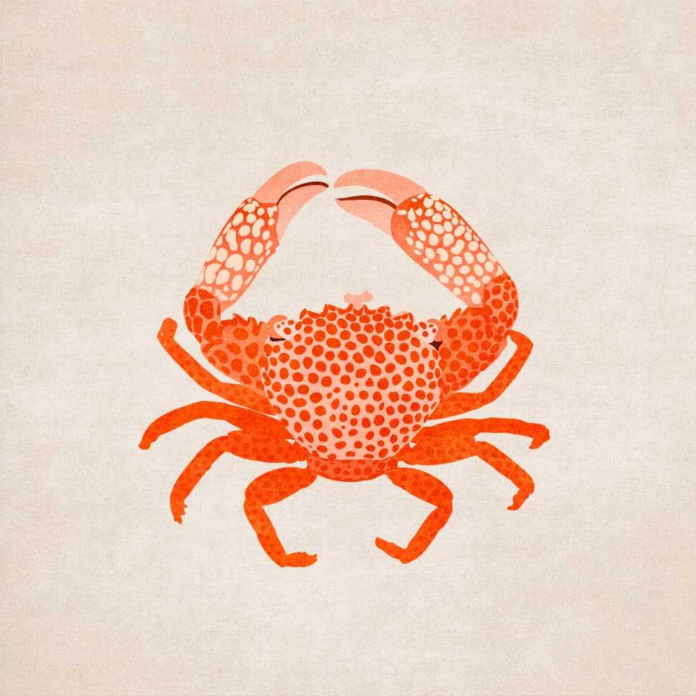 Crimson Claw Charm by Emel Tunaboylu — canvas wall art