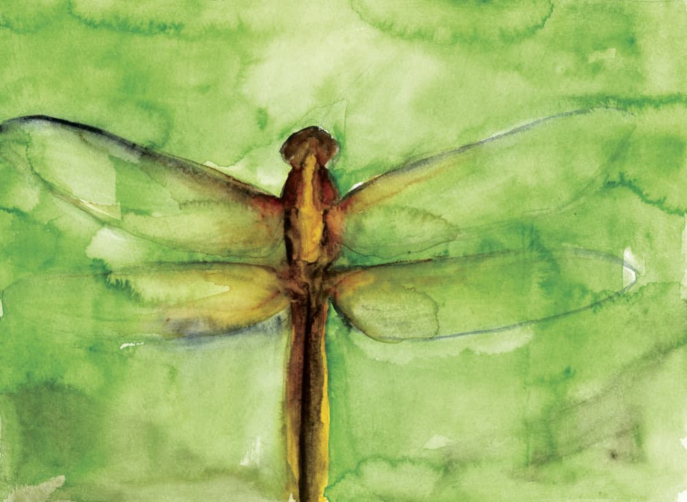 Green Dragonfly Watercolor by RodMacIver — canvas wall art