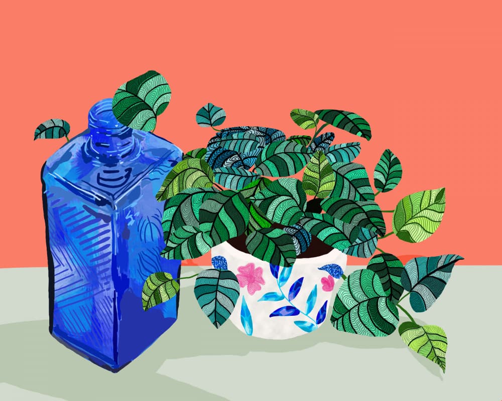Vibrant Botanical Still Life by Uma Gokhale — canvas wall art