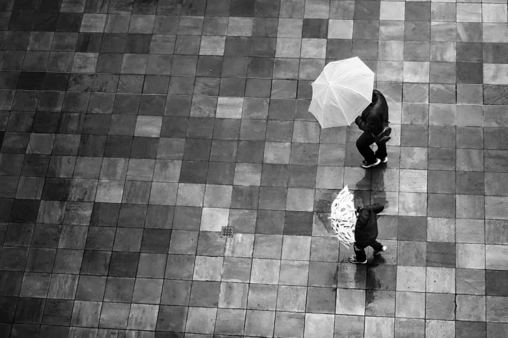 Rainy Day Reflections by Haruyo Sakamoto — canvas wall art