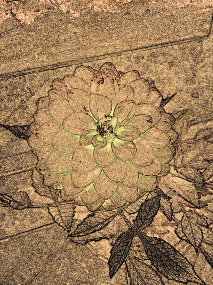 Textured Floral Bloom by Santhosh ch — canvas wall art