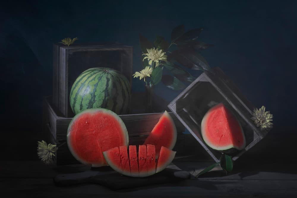 Moody Watermelon Still Life by Lydia Jacobs — canvas wall art