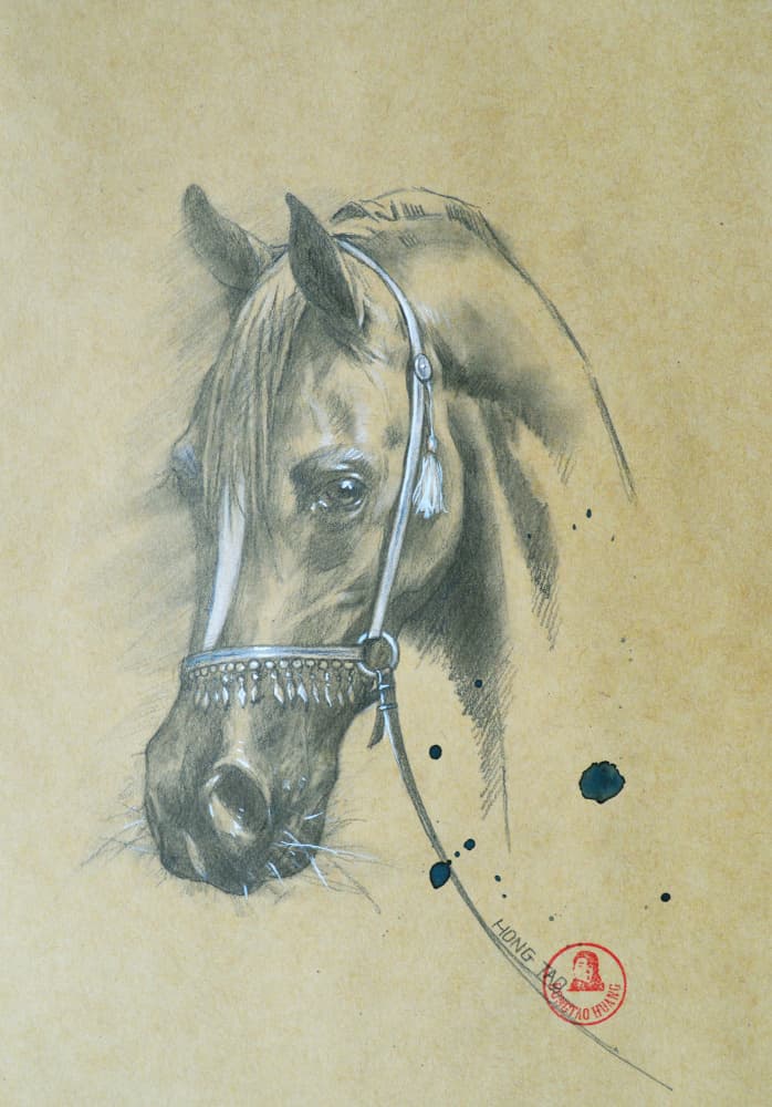 Majestic Arabian Horse