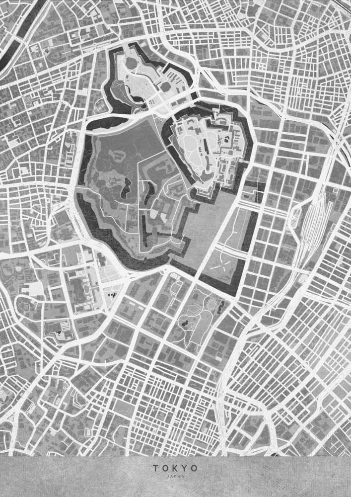 Tokyo Imperial Map by Rosana Laiz Blursbyai — canvas wall art