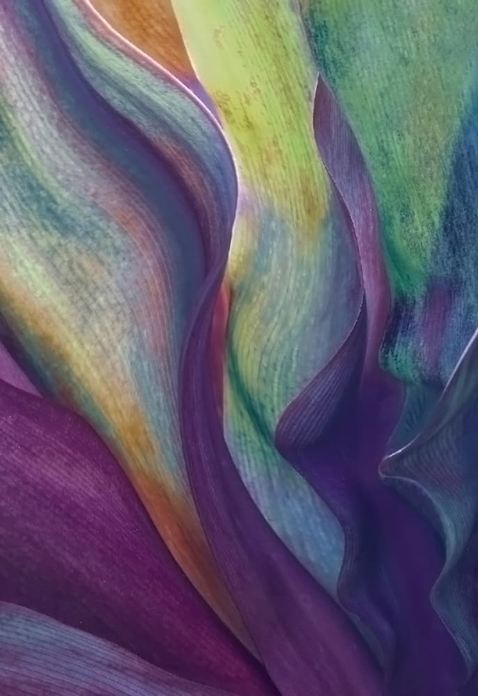Vibrant Floral Abstract by Robin Wechsler — canvas wall art