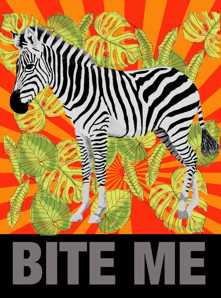 Zebra Says Bite Me by Lynnda Rakos — canvas wall art
