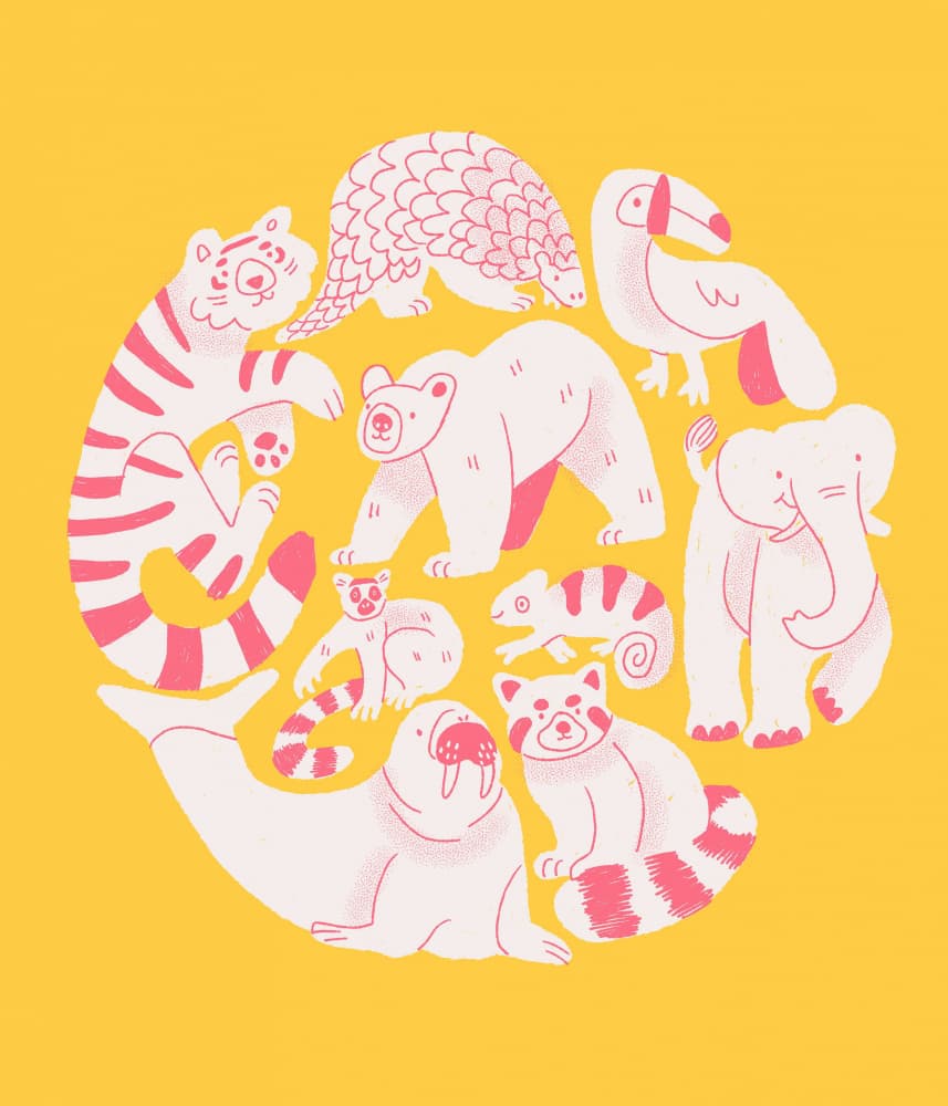 Playful Wildlife Circle by Eliott Bulpett — canvas wall art