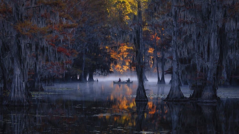 Misty Autumn Swamp by Michael Zheng — canvas wall art