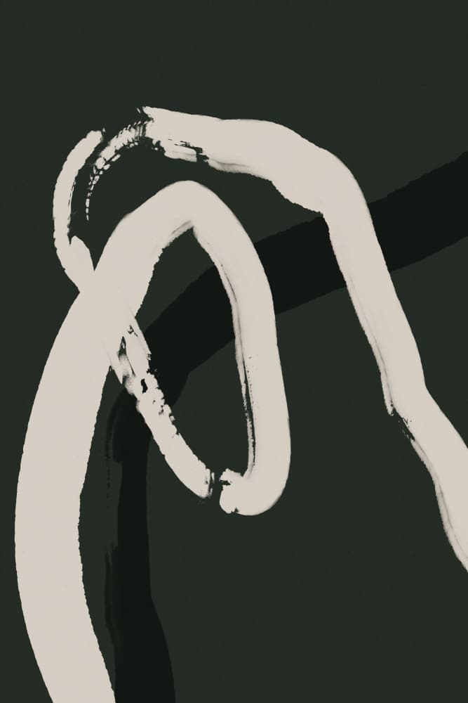 Fluid Curves Dance by Treechild — canvas wall art