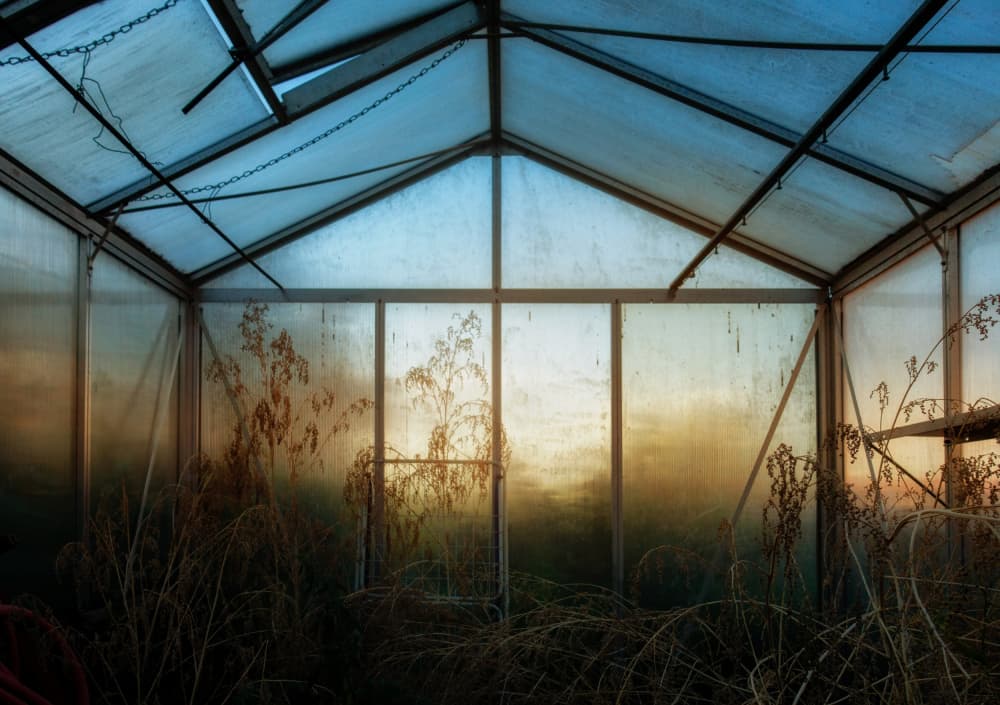 Overgrown Greenhouse Glow by Hans Günther — canvas wall art