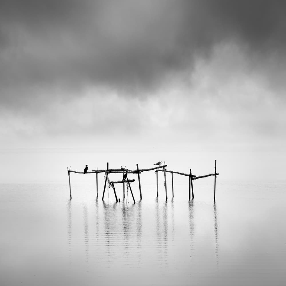 Serene Water Perch by George Digalakis — canvas wall art