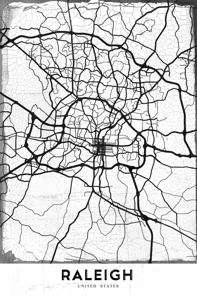 Raleigh Urban Grid by StudioSix — canvas wall art