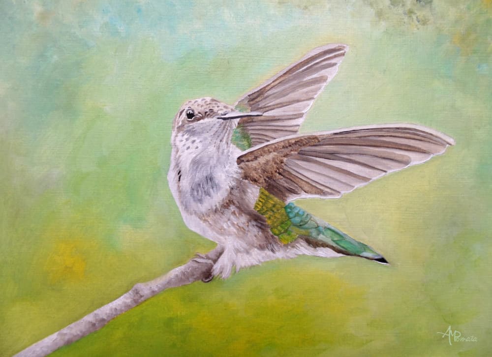Perched Hummingbird Wings by Angeles M. Pomata — canvas wall art